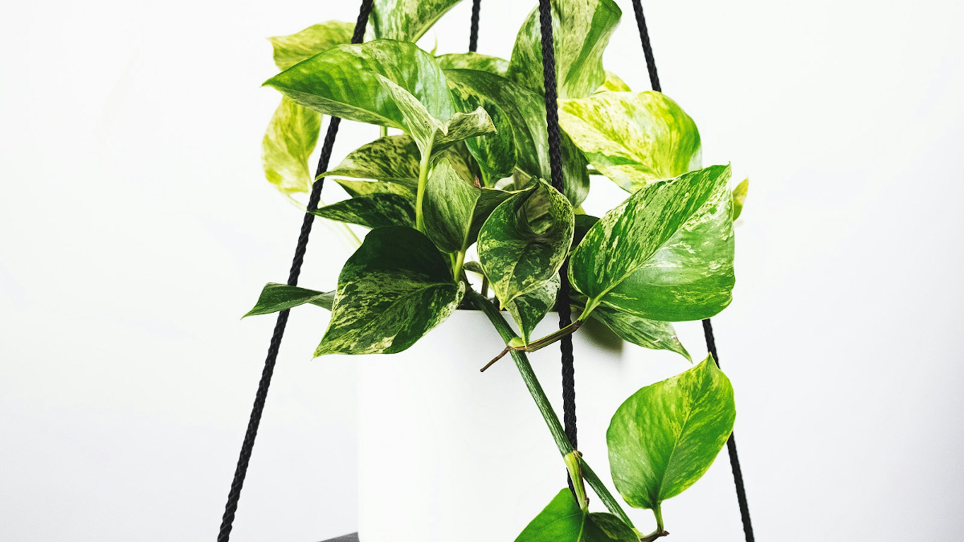 2026年世界杯主体育场宏伟夜景，灯光璀璨，座无虚席